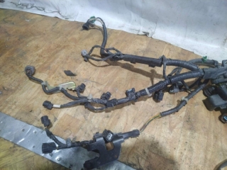 Проводка подкапотная, HONDA