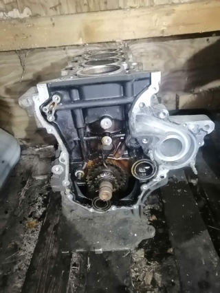 Маслоприемник, TOYOTA, COROLLA, NZE121, 1NZ-FE, 2001