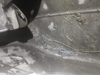 Бампер, BMW, 5-SERIES, E60, M54B25, 2005, F, 51.11-7033694