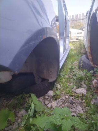 Крыло, SKODA, FABIA, 5J5, CFNA, 2010, R, R