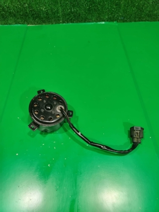 Мотор вентилятора охлаждения, CHEVROLET, CAPTIVA, C140