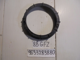 Крепление топливного насоса, PEUGEOT, 8B, PSA6FZ10LT, 2003, 9633283880