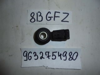 Датчик детонации, PEUGEOT, 406, 8B, PSA6FZ10LT, 2003, 9632734980