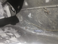 Бампер, BMW, 5-SERIES, E60, M54B25, 2005, F, 51.11-7033694