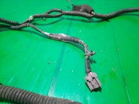 Проводка двери, NISSAN, PRIMERA, P12, QG18DE, 2002, R, 24025-AU001