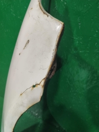 Крыло, HONDA, CIVIC, EG3, D13B2, 1994, F, R